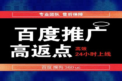 百度竞价推广代运营经典案例分析